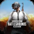 pubg小言魔改obb2.8最新版