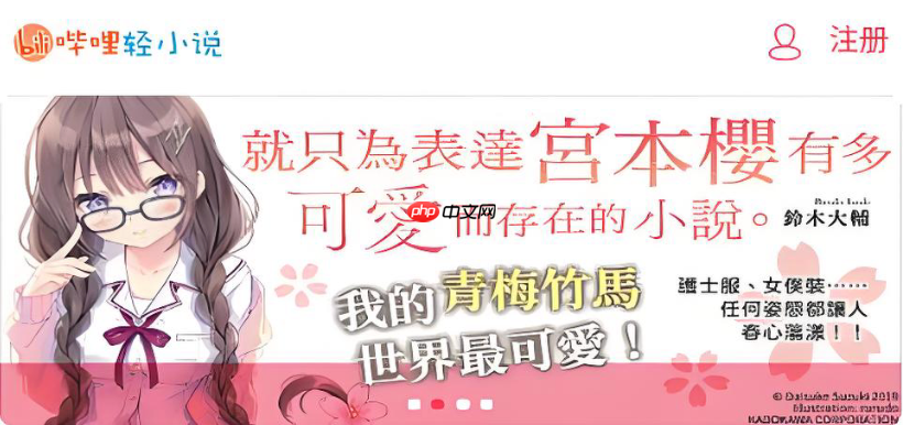 哔哩轻小说会员入口 独家章节抢先看特权