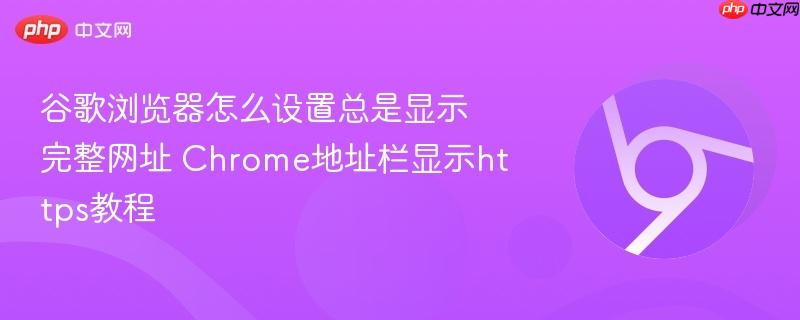 谷歌浏览器怎么设置总是显示完整网址 Chrome地址栏显示https教程