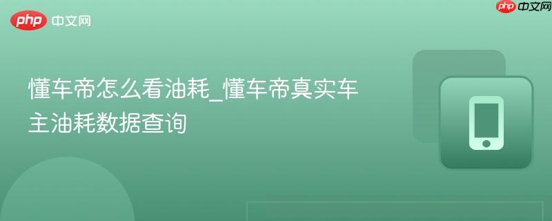懂车帝怎么看油耗_懂车帝真实车主油耗数据查询